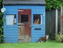 DSC_0143.JPG