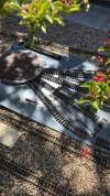 C060AB67-3D96-49C0-A768-0AE676855259.jpeg