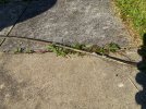 IMG_3253.jpeg IMG_3253.jpeg