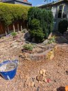PXL_20260624_110458225.jpg