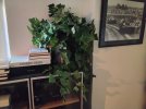 20260706_122739.jpg 20260706_122739.jpg