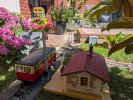 PXL_20260708_103531142.jpg