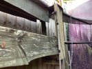 IMG_9386.jpeg