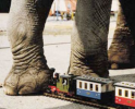 LGBELEPHANT.png LGBELEPHANT.png