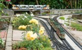 83145.jpg