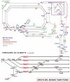 fvm_diagram_forum_Aug26.jpg