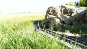 IMAG0374_20140322_045533.jpg