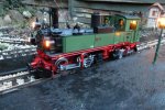 Garden railway photos 669 (Small).jpg
