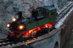 Garden railway photos 674 (Small).jpg