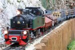 Garden railway photos 604 (Small).jpg