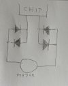 IMG_8756.jpeg