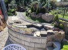 IMG_20260908_130231982_HDR.jpg