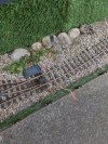 PXL_20260909_105901363.jpg