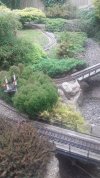 20220526_171533.jpg 20220526_171533.jpg