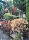 20260927_125708.jpg 20260927_125708.jpg
