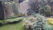 20170813_190513.jpg 20170813_190513.jpg