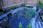 rsz_dsc_0009.jpg