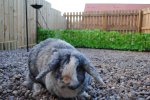 rsz_1dsc_0026.jpg