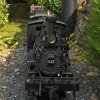c19 head on.jpg c19 head on.jpg