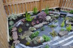 rsz_dsc_0049.jpg
