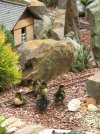 ducklings on the tracks.jpg ducklings on the tracks.jpg
