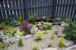 rsz_dsc_0119.jpg