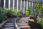 rsz_dsc_0161.jpg