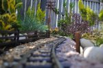 rsz_dsc_0163.jpg