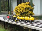 IMG_3495.jpg IMG_3495.jpg
