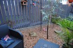 DSC_0091.JPG