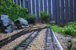 DSC_0101.JPG