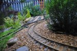 DSC_0106.JPG
