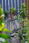 DSC_0161.JPG
