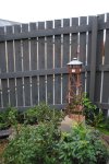 DSC_0244.JPG
