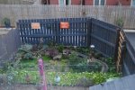 DSC_0247.JPG