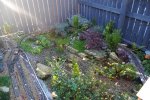 DSC_0283.JPG