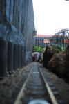 DSC_0308.JPG