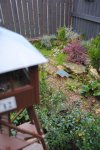 DSC_0332.JPG