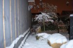 DSC_0359.JPG