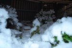 DSC_0353.JPG