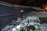 DSC_0352.JPG