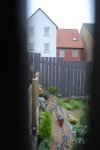 DSC_0385.JPG