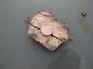 Stump Grubbing (8) (600 x 450).jpg Stump Grubbing (8) (600 x 450).jpg