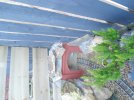 DSC02771.JPG