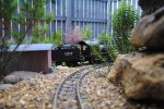 DSC_0561.JPG