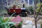 DSC_0115.JPG