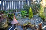 DSC_0003.JPG