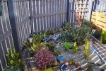 DSC_0006.JPG