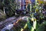 DSC_0015.JPG