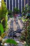DSC_0025.JPG